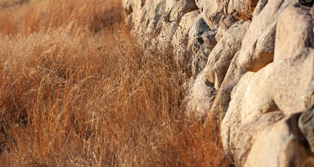 Rock wall and winter grass