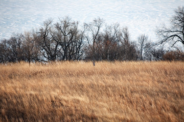Fototapeta premium Winter in the river valley