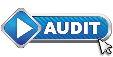 audit icon
