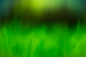 Green abstract background