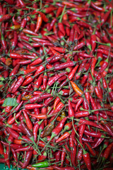Naklejka premium red chili pepper chilies on a market displayed with depth of field photography