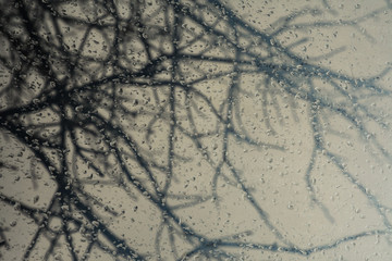 Drops of autumn rain on a window