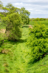 Rural landscape in Spring in Glen Mavis, North Lanarkshire in Scotland, UK.