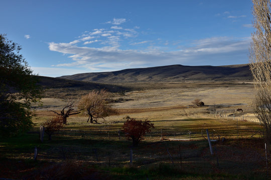 Ruddiness Bilder Durchsuchen 1,630 Archivfotos, und