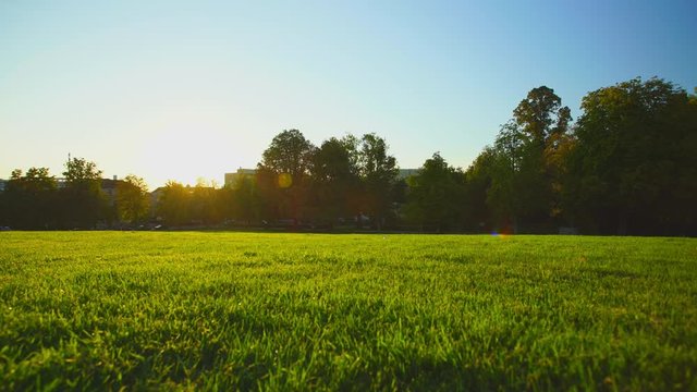 Green lawn in city park with sunset background