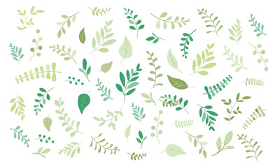 ナチュラル 植物 ベクター 素材 セット