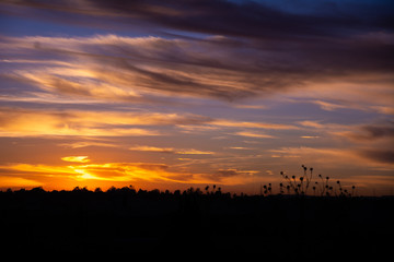 Atardecer