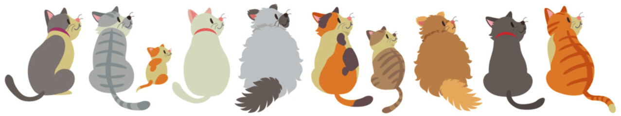 Cute cats sitting and looking sideways on white background. Vector illustration in flat cartoon style.