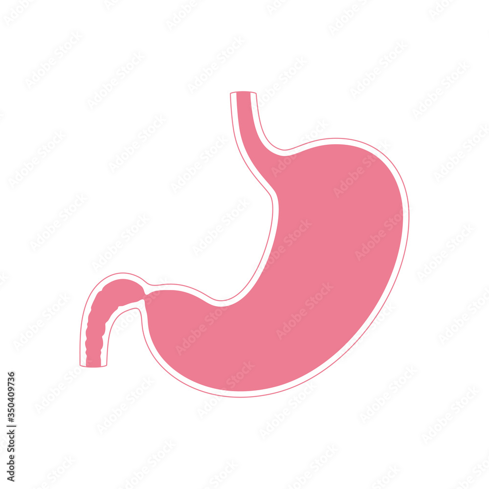 Canvas Prints Vector isolated illustration of stomach