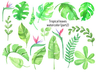Watercolor tropical leaves, jungle, palm tree, bird of Paradise flower