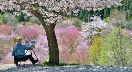 春・桜・アーチスト