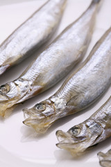 Capelin fish
