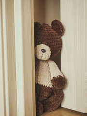 A handmade knit toy (bear) staying behind the openning door