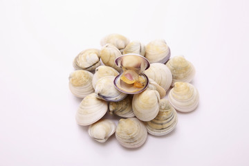 Clams