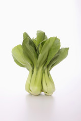 Bok choy