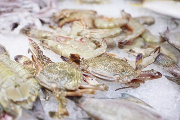 Fresh and raw seafood