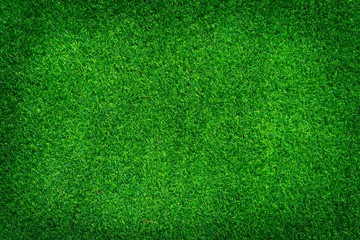 artificial grass texture