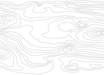 Seamless wooden pattern. Wood grain texture. Dense lines. White background. Vector illustration