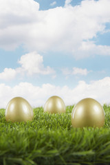 Golden eggs on a field