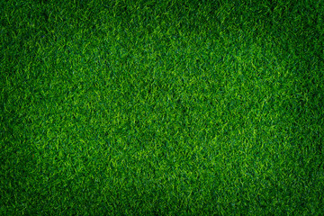 Obraz premium Artificial grass background