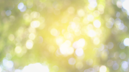 Fototapeta premium abstract background with bokeh