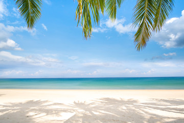 tropical beach with coconut palm trees