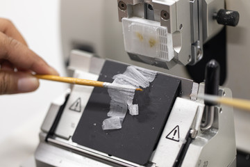 Study Histological sample and preparing a biopsy by use Microtome in Lab.