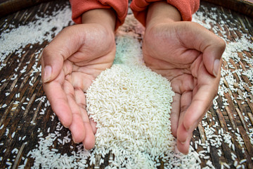 Close up Thai women holding jasmine rice in their hands. Health food products.