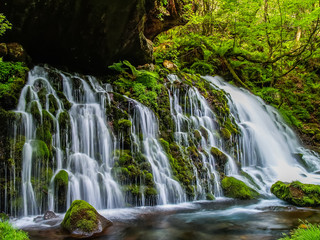 元滝伏流水　秋田県