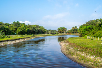 Fototapeta premium lake in the park