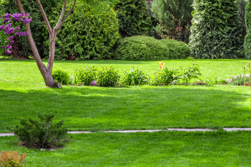 Freshly cut grass in the backyard of a private house.