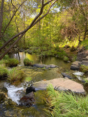 Acorn Creek Along the South Fork of the American River Trail at Skunk Hollow in California