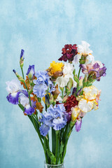 bunch of colorful irises © Maksim Shebeko