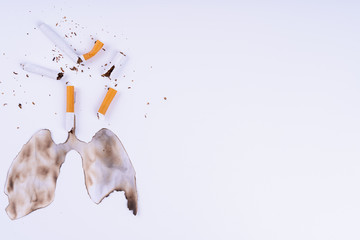 Cigarette smoke's lungs. The cigarette destroy lungs on white background. Cigarette causes cancer...