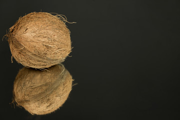 Large shaggy coconut isolated on a black mirror surface with reflection