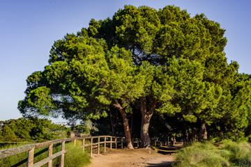 Obraz premium La Mata Natural Park near Torrevieja. Alicante province. Spain