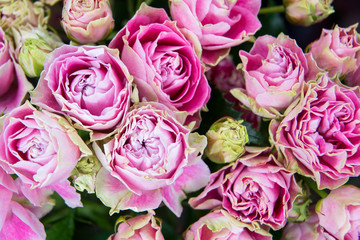 Beautiful bouquet of bright and colorful flowers