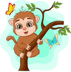 Cute baby monkey on tree branch