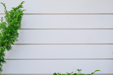 Plank wood table floor with natural pattern texture background.