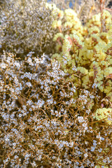 Fototapeta premium Close up group of white flowers and leaves in colorful tone.