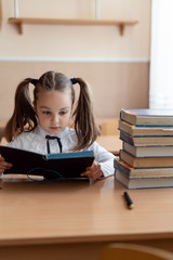 The student looks in the diary. Little girl is studying at school. The child at the desk. A stack of books and study.