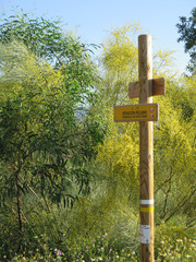 Wooden rural signpost on verge covered with wild flowers