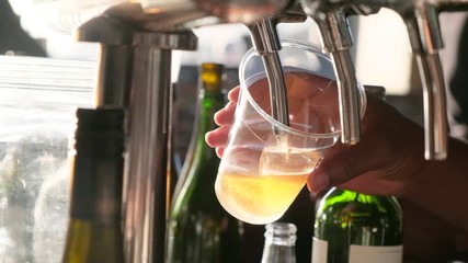 Beer on tap being dispensed at the bar (slow motion)