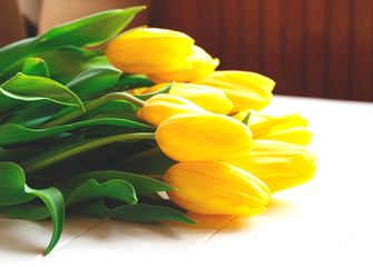 Beautiful fresh spring tulips on a white background