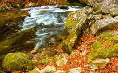 the mountain river descends among the stones and the autumn leaves