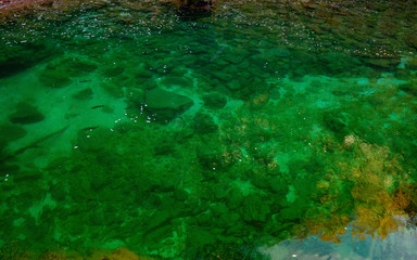 the green water of the mountain and the bridge over the rocks on an autumn day