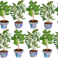 Obraz premium Watercolor seamless hand drawn pattern potted indoor flowers on white isolated background. Monstera fiddle leaf tree ficus. Green foliage grey pink soft pastel violet pots interior design urban jungle