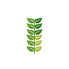 simple green leaf branch logo and vector icon