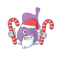 Friendly gall bladder dressed in Santa Cartoon character with Christmas candies