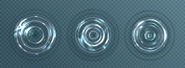 Foto op Canvas Water ripple with circle waves isolated on transparent background. Vector realistic concentric rings on liquid surface from falling drop. Ripple effect on clear aqua top view © klyaksun